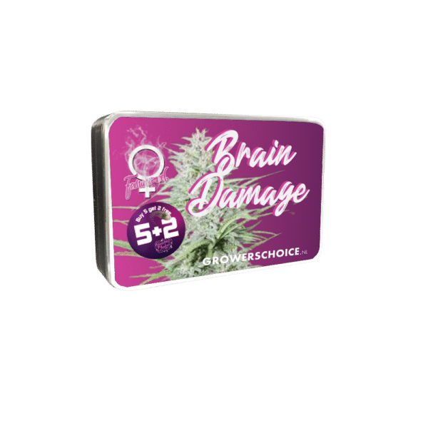 Growers Choice Brain Damage Samen – Bild 2