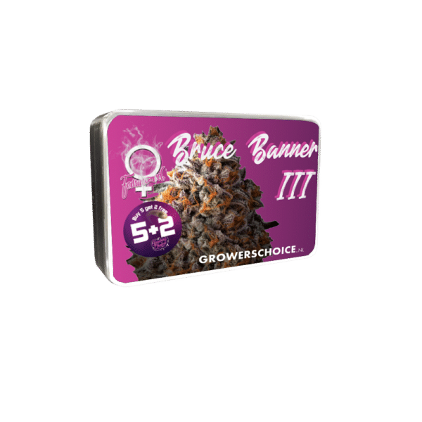 Growers Choice Bruce Banner Samen – Bild 3