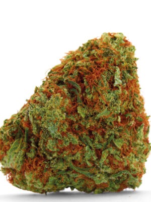 Growers Choice Bubblegum x Fat HOG Samen