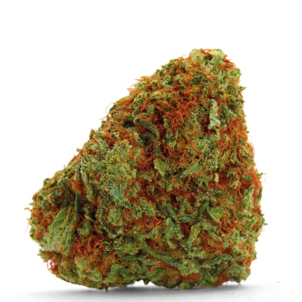 Growers Choice Bubblegum x Fat HOG Samen