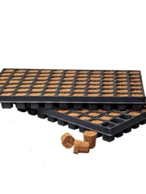 Canna Rootplugs Tray 77Stk