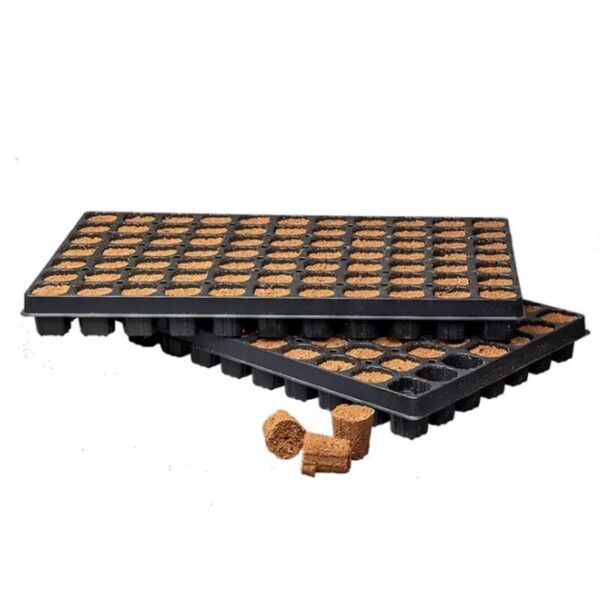 Canna Rootplugs Tray 77Stk Canna Rootplugs Tray 77Stk