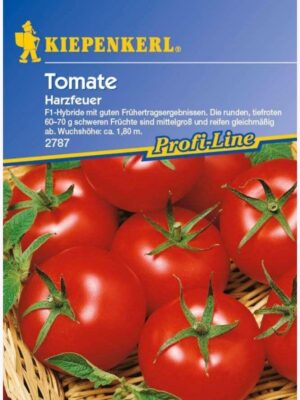 Kiepenkerl Tomaten Harzfeuer