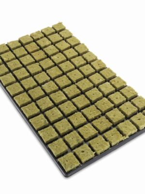 Cultiwool/Cultilene Steinwollkeile im 77er Tray