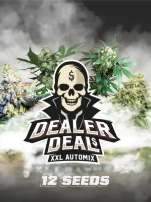 BSF Seeds Dealer Deal XXL Automix