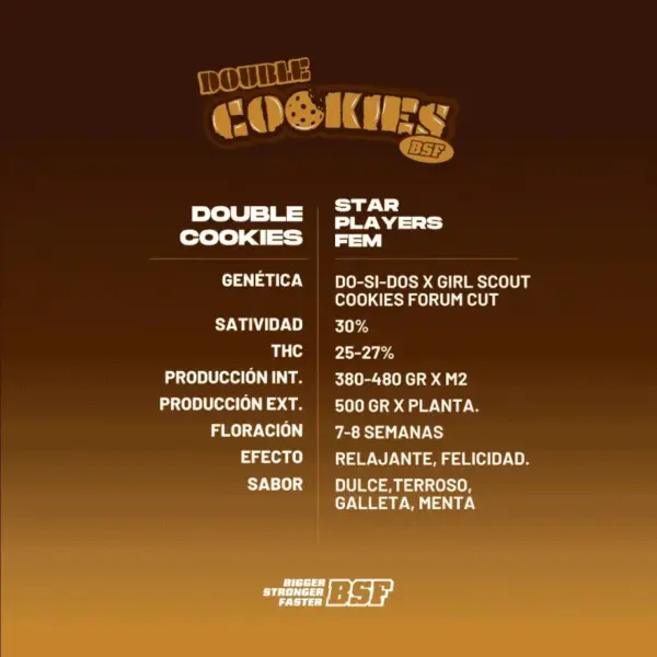 BSF Seeds double cookies Samen – Bild 3