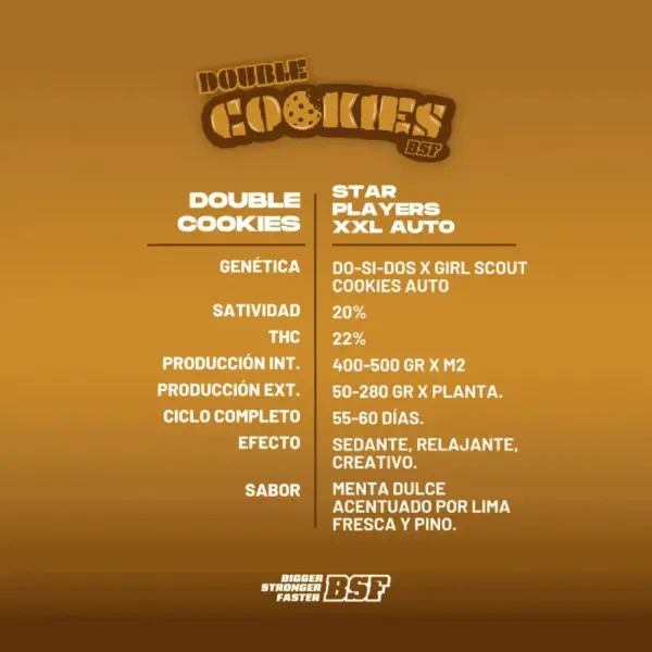 BSF Seeds double cookies auto Samen – Bild 3