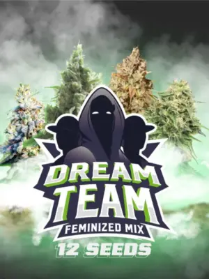 BSF Seeds Dream Team Feminized Mix