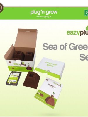 Eazy Plug Sea of Green Set