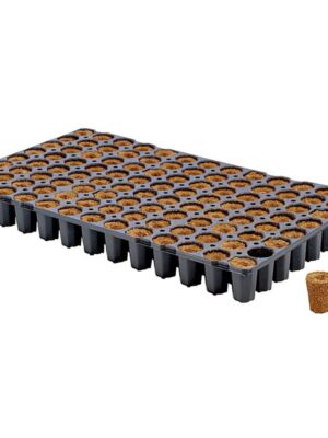 Eazy Plug Stecklingstrays 104 C rund groß