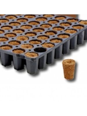 Eazy Plug Stecklingstrays CT104CR rund groß