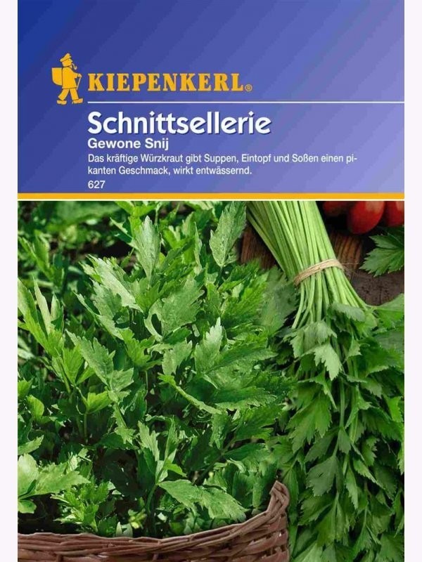 Kiepenkerl Sellerie Tango – Ansicht 2