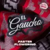 BSF Seeds el gaucho Samen – Bild 2