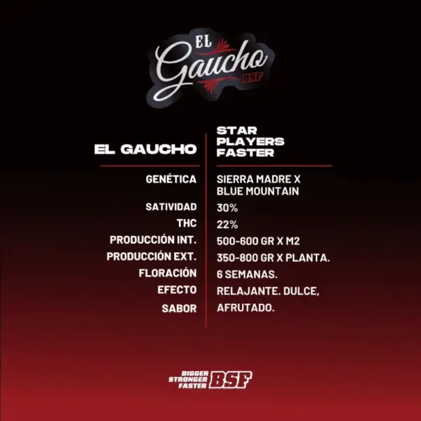 BSF Seeds el gaucho Samen – Bild 3
