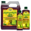 Photosynthese Plus ENERGIE+ – Ansicht 2