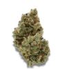 Growers Choice Frosty Gelato Samen