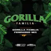 BSF Seeds gorilla familia mix Samen