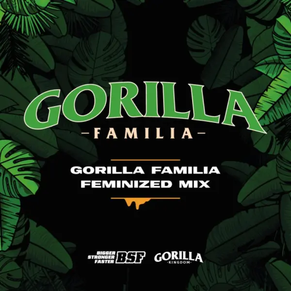 BSF Seeds gorilla familia mix Samen