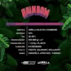 BSF Seeds gorilla rainbow Samen – Bild 3