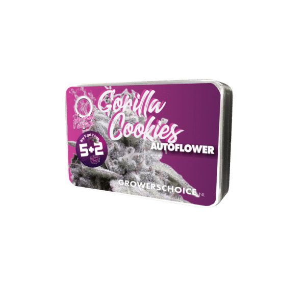 Growers Choice Gorilla Cookies Autoflower Samen – Bild 3
