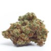 Growers Choice Gorilla Cookies Autoflower Samen – Bild 2