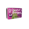 Growers Choice Grapefruit x Bubblegum Autoflower Samen – Bild 4