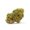 Growers Choice Grapefruit x Bubblegum Autoflower Samen – Bild 2