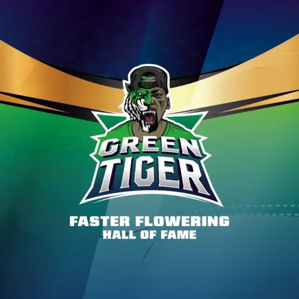 BSF Seeds green tiger Samen – Bild 3