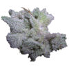 Growers Choice Braindamage Autoflower Samen