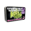 Growers Choice Grapefruit x Bubblegum Autoflower Samen