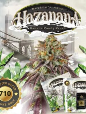 Hazanana T.H. Seeds feminisiert 2er Pack
