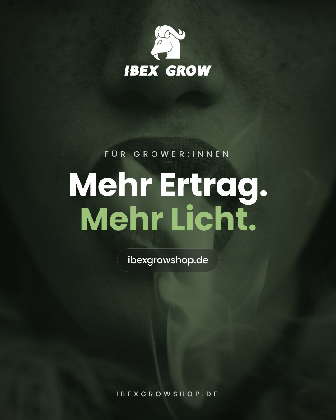 Growforum Kanäle zu Licht, Lüftung und Dünger