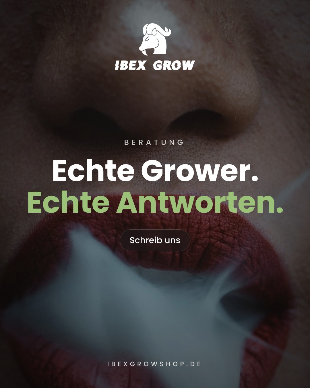 Verlosungen und Aktionen im Ibex Grow Growforum