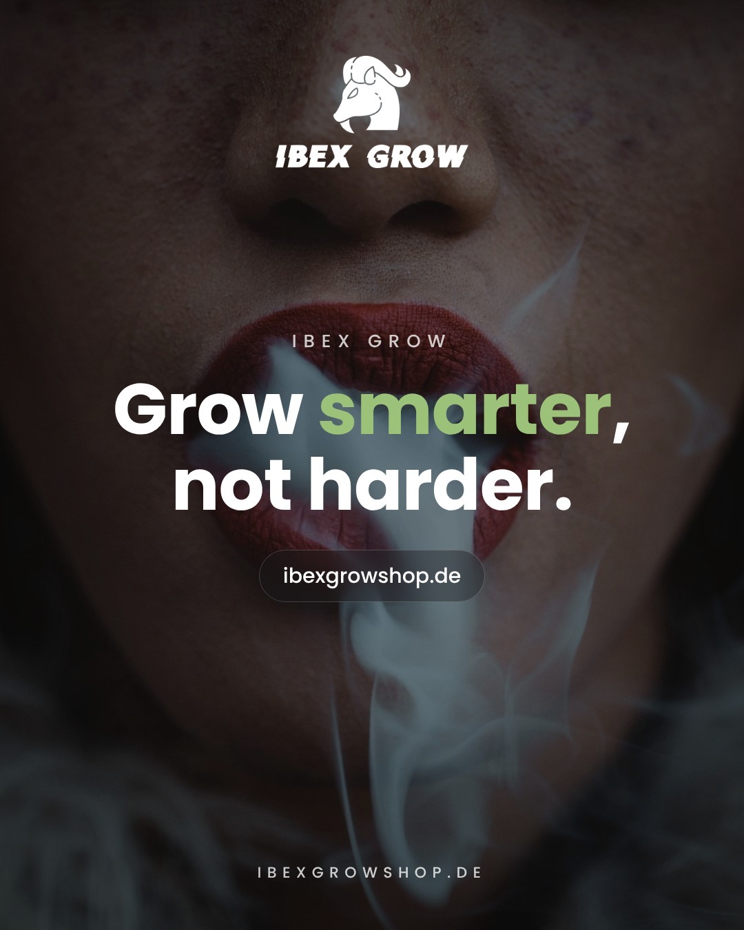 Smart Grow Forum – Tipps im Ibex Grow Growforum