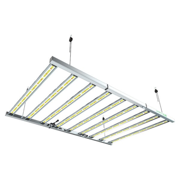Lazerlite Pro 1080W 3.1 LED