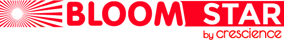 BloomStar Logo