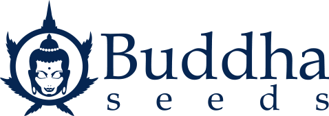 Buddha Seeds Logo