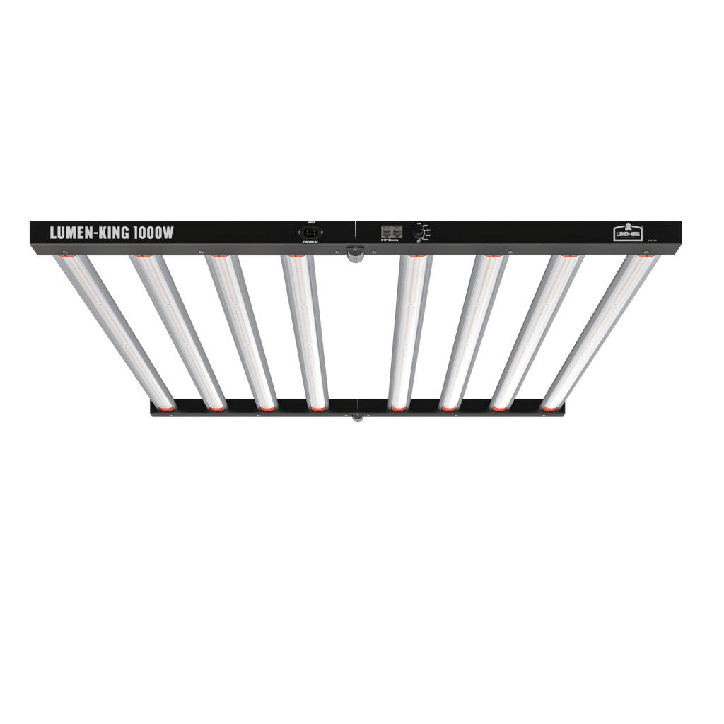 Lumen King Light Fixture 1000W LED ECO Line