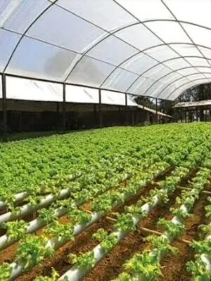 Mega Grow 1000 Umkehr-Osmoseanlage 1:2