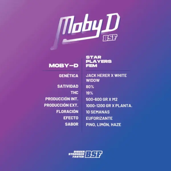 BSF Seeds moby d Samen – Bild 3