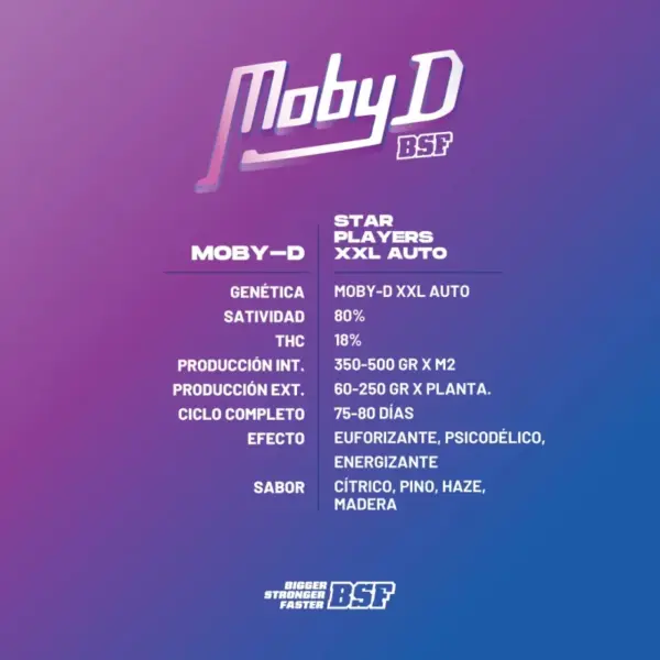 BSF Seeds moby d xxl auto Samen – Bild 3
