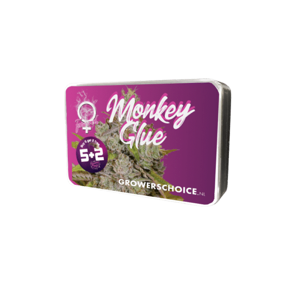 Growers Choice Monkey Glue Samen – Bild 3