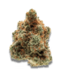 Growers Choice Monkey Glue Samen – Bild 2