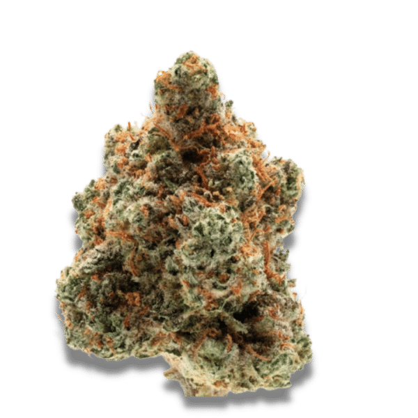 Growers Choice Monkey Glue Samen – Bild 2