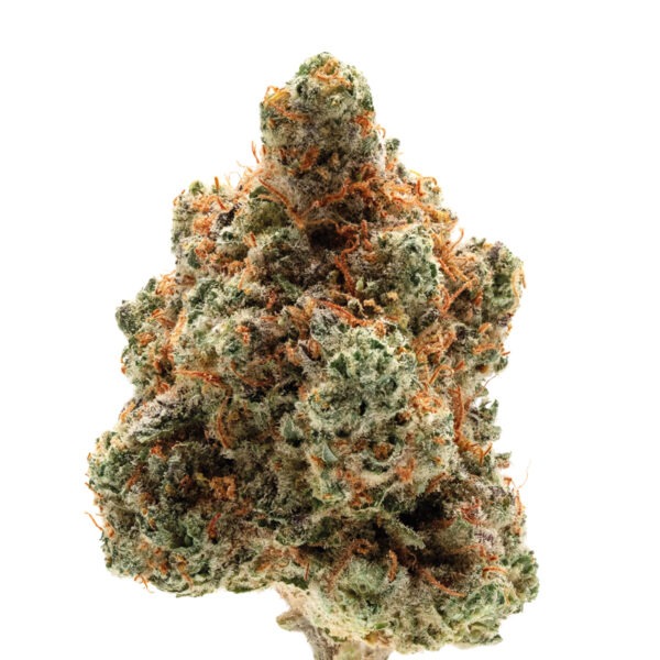 Growers Choice Monkey Glue autoflower Samen – Bild 2