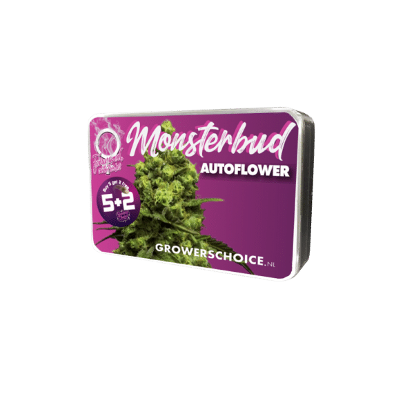 Growers Choice Monsterbud Autoflower Samen – Bild 3