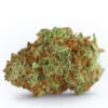 Growers Choice Monsterbud Autoflower Samen – Bild 2