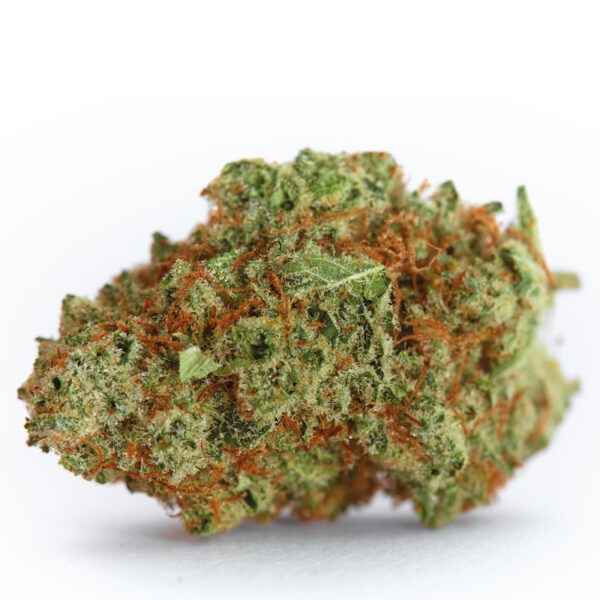 Growers Choice Monsterbud Autoflower Samen – Bild 2