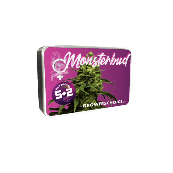 Growers Choice Monsterbud Samen – Bild 3