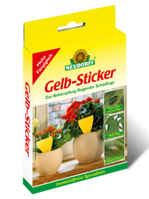 Neudorff Gelbsticker 10 Stk Packung